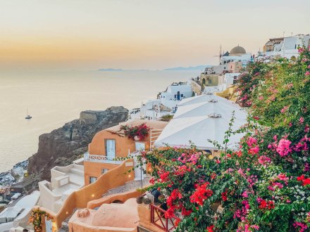 A photo of the sunset in Oia, Santorini, Greece with red and pink flowers in view